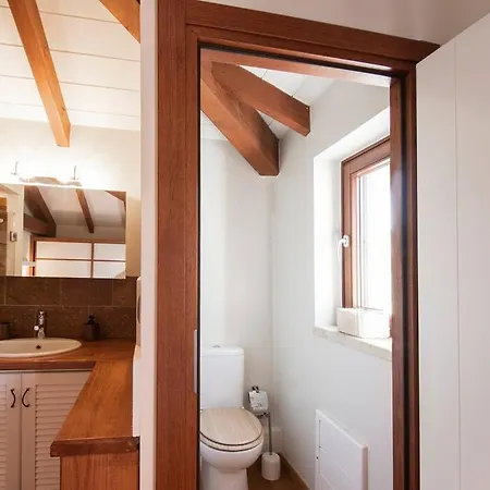 The Saronic - Jungle On The Sea