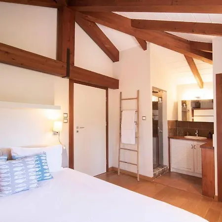 Casa vacanze The Saronic - Jungle On The Sea