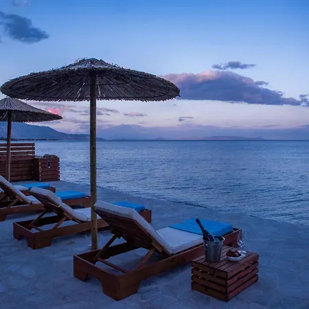 The Saronic - Jungle On The Sea