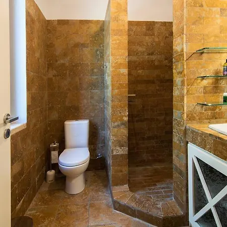 The Saronic - Jungle On The Sea *