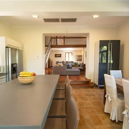 The Saronic - Jungle On The Sea