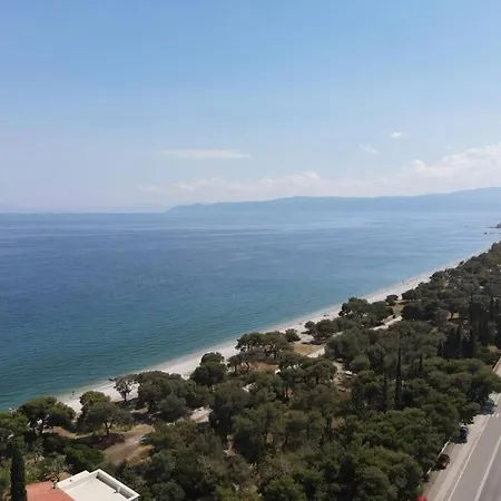 Vakantiehuis The Saronic - Jungle On The Sea *