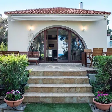 The Saronic - Jungle On The Sea *