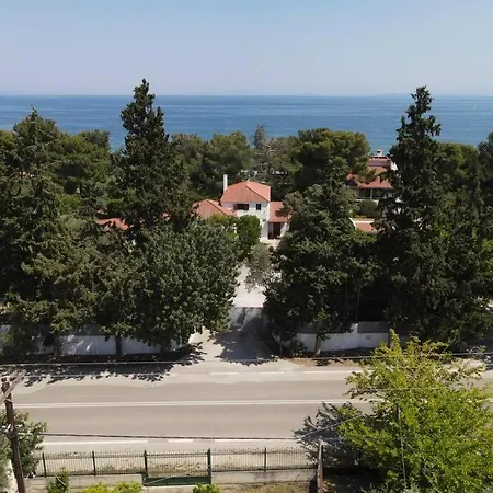 Vakantiehuis The Saronic - Jungle On The Sea Agioi Theodoroi (Corinthia)