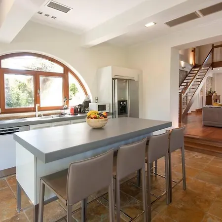 The Saronic - Jungle On The Sea