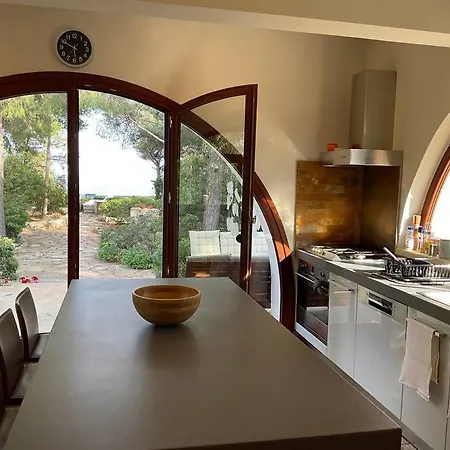 The Saronic - Jungle On The Sea Vakantiehuis