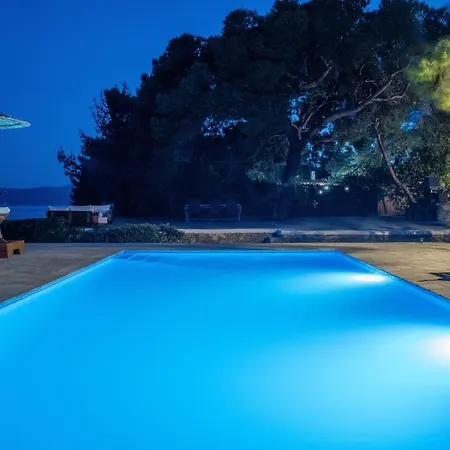 The Saronic - Jungle On The Sea *