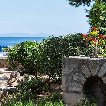 Vakantiehuis The Saronic - Jungle On The Sea *