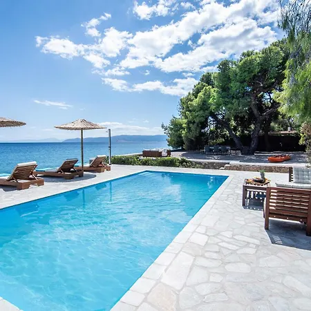 The Saronic - Jungle On The Sea