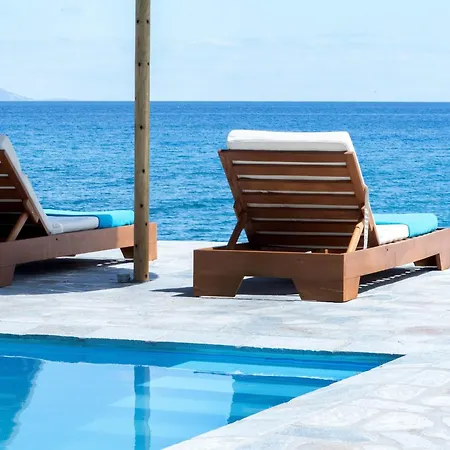 The Saronic - Jungle On The Sea *