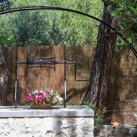 The Saronic - Jungle On The Sea Prázdninový dům