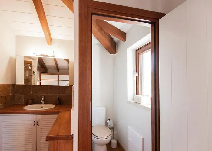 The Saronic - Jungle On The Sea