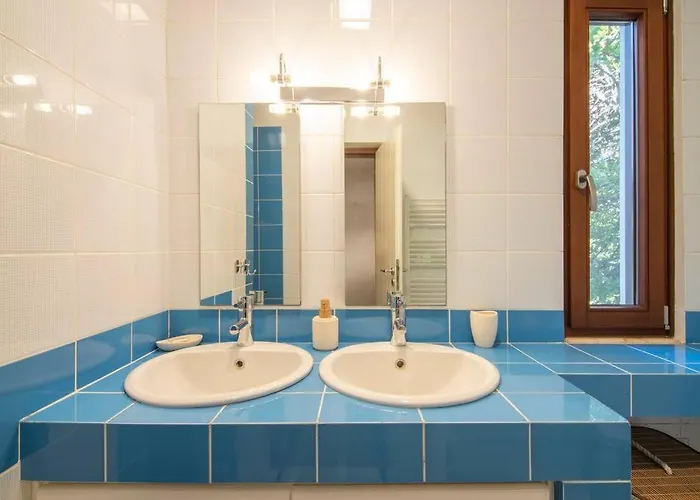 The Saronic - Jungle On The Sea *