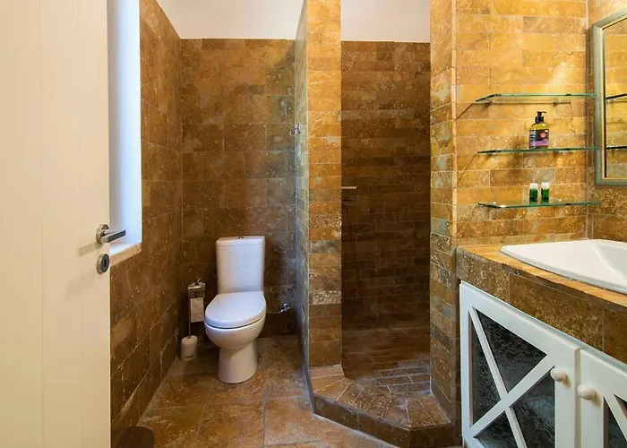 The Saronic - Jungle On The Sea *