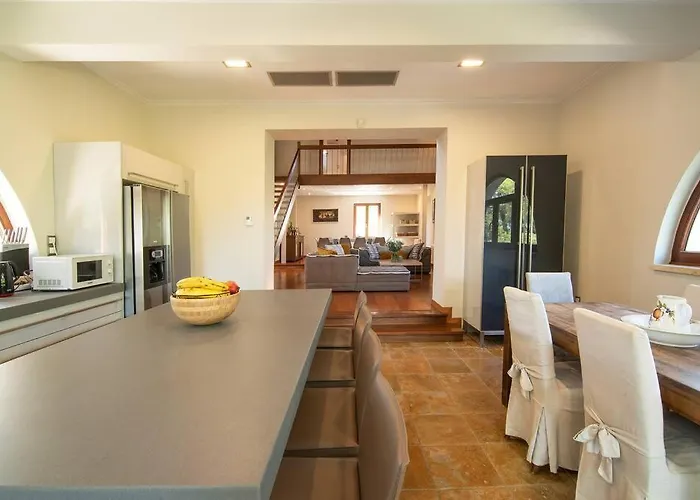 The Saronic - Jungle On The Sea