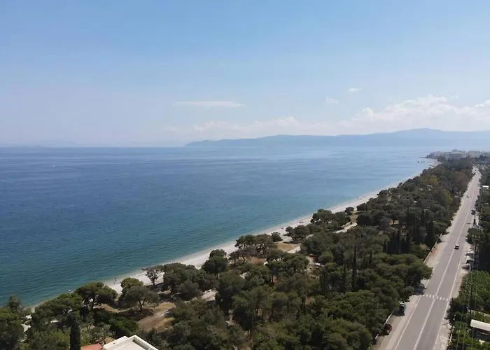 Semesterbostad The Saronic - Jungle On The Sea *