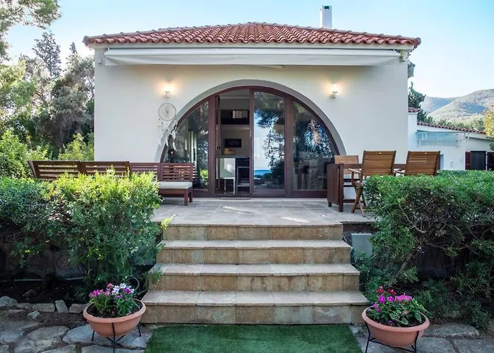 The Saronic - Jungle On The Sea *