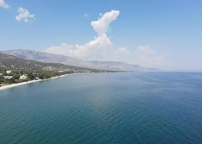 The Saronic - Jungle On The Sea Casa vacanze Agioi Theodoroi (Corinthia)