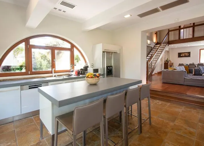 The Saronic - Jungle On The Sea