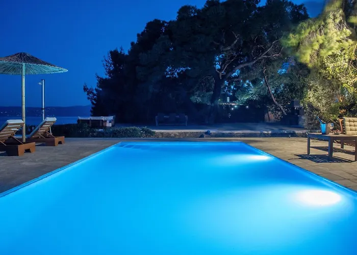 The Saronic - Jungle On The Sea *