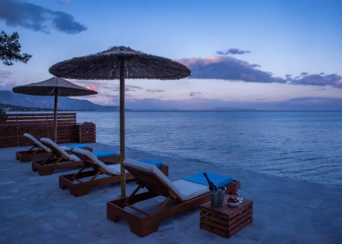 The Saronic - Jungle On The Sea