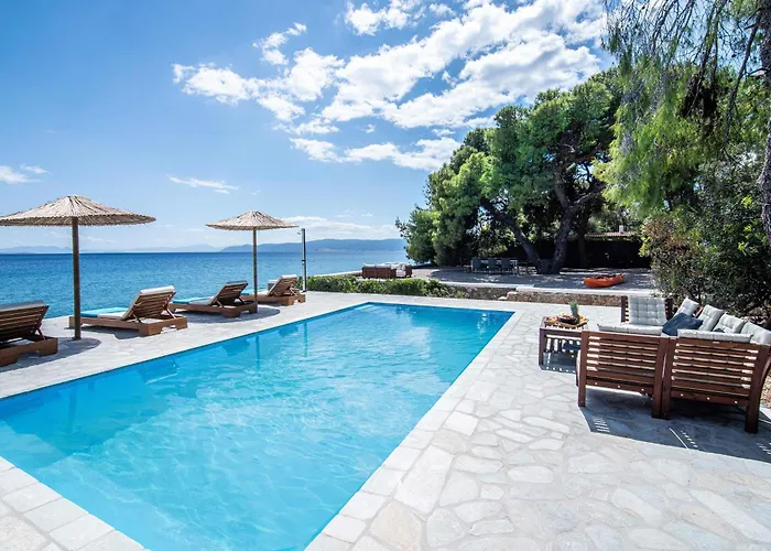 The Saronic - Jungle On The Sea