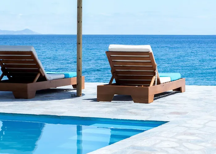 The Saronic - Jungle On The Sea *